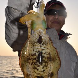 渡船屋たにぐち 釣果