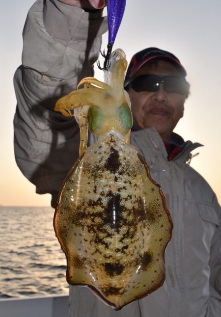 渡船屋たにぐち 釣果