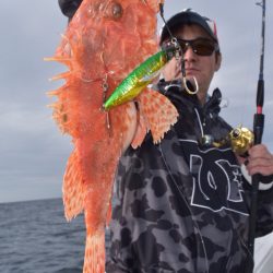 渡船屋たにぐち 釣果