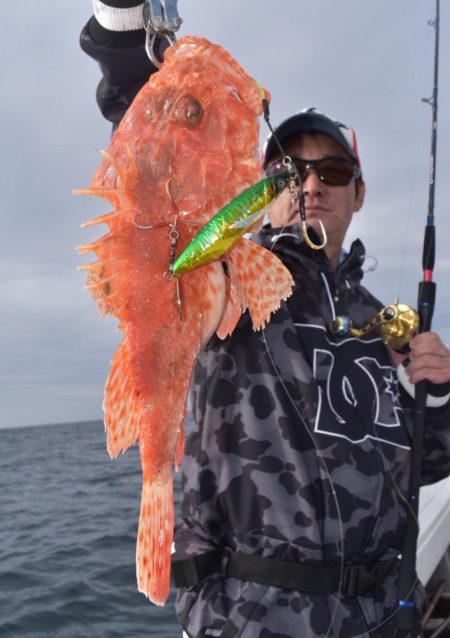 渡船屋たにぐち 釣果