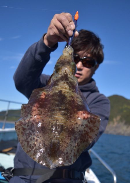 渡船屋たにぐち 釣果