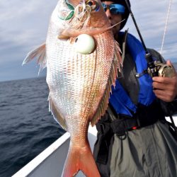 渡船屋たにぐち 釣果