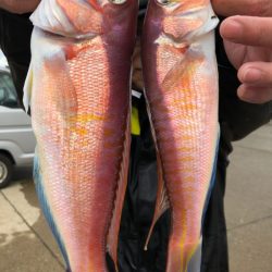 第二八坂丸 釣果