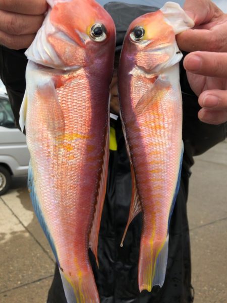 第二八坂丸 釣果