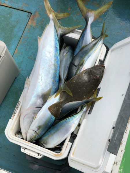 丸万釣船 釣果
