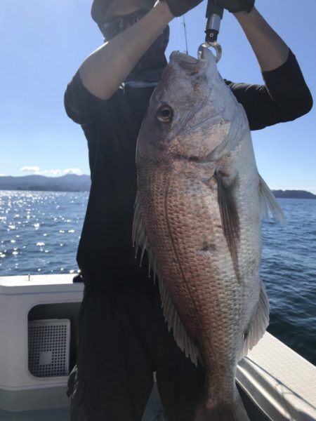 アマテラス 釣果