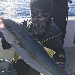 アマテラス 釣果