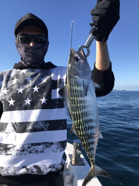 アマテラス 釣果