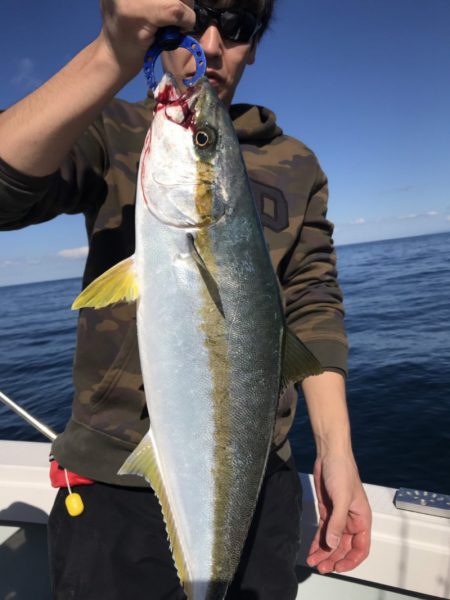 アマテラス 釣果