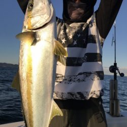 アマテラス 釣果