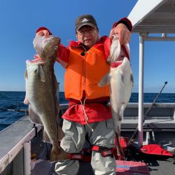 シーランチ 釣果