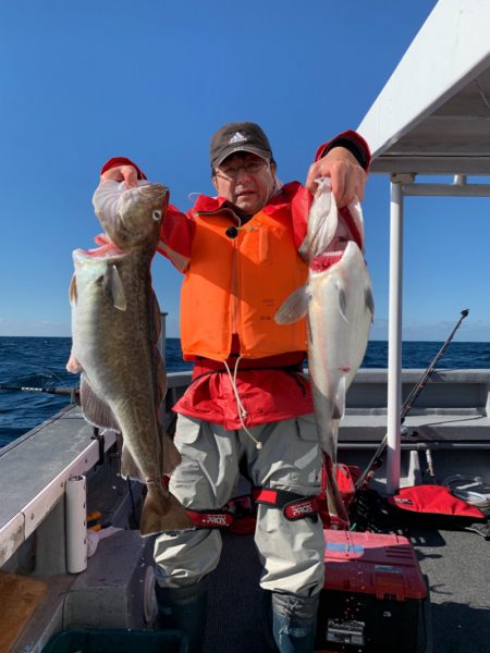 シーランチ 釣果