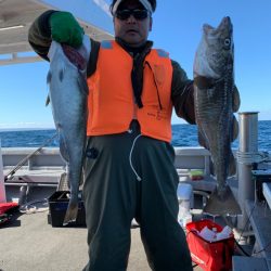 シーランチ 釣果