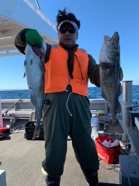 シーランチ 釣果