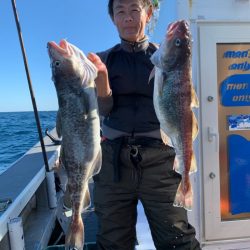 シーランチ 釣果