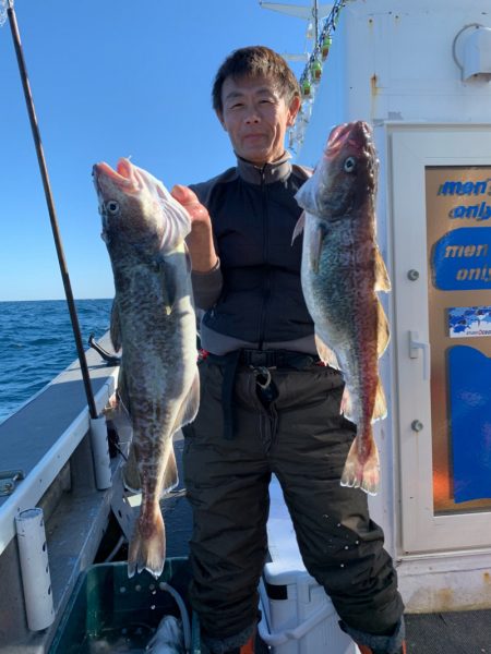 シーランチ 釣果