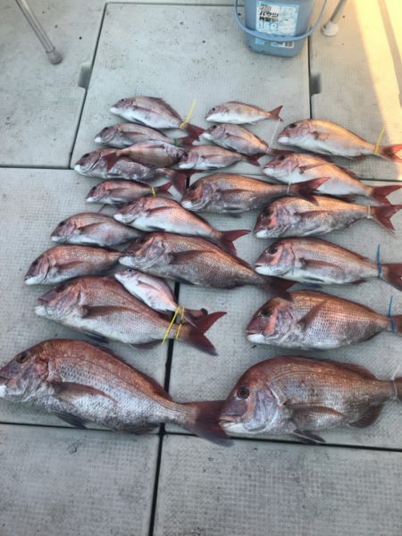 遊漁船メテオ 釣果