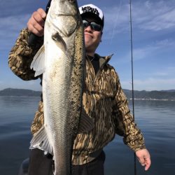 アマテラス 釣果