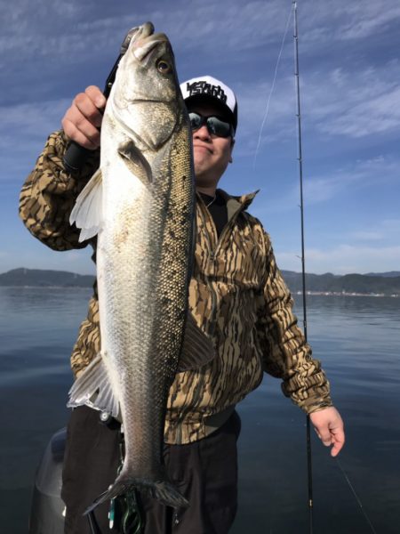 アマテラス 釣果