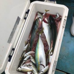 丸万釣船 釣果