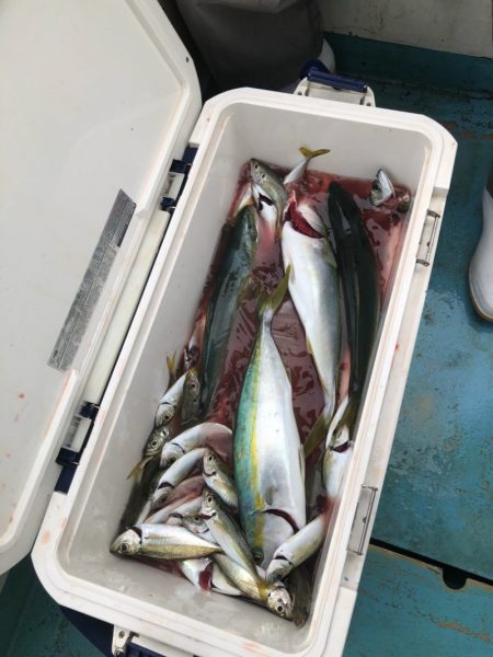 丸万釣船 釣果