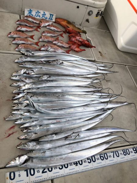 末広丸(熊本) 釣果
