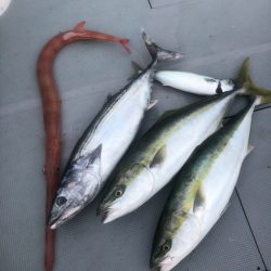 ＴＡＲＯＭＡＲＵ 釣果