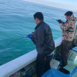 ヤザワ渡船 釣果