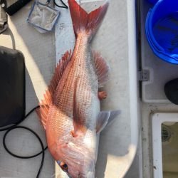 末広丸(熊本) 釣果