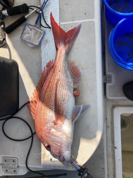 末広丸(熊本) 釣果