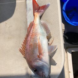 末広丸(熊本) 釣果