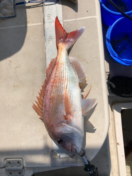 末広丸(熊本) 釣果