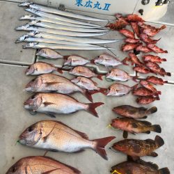 末広丸(熊本) 釣果