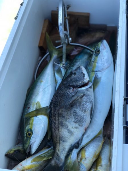 丸万釣船 釣果