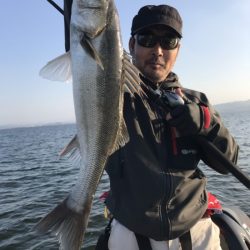 アマテラス 釣果