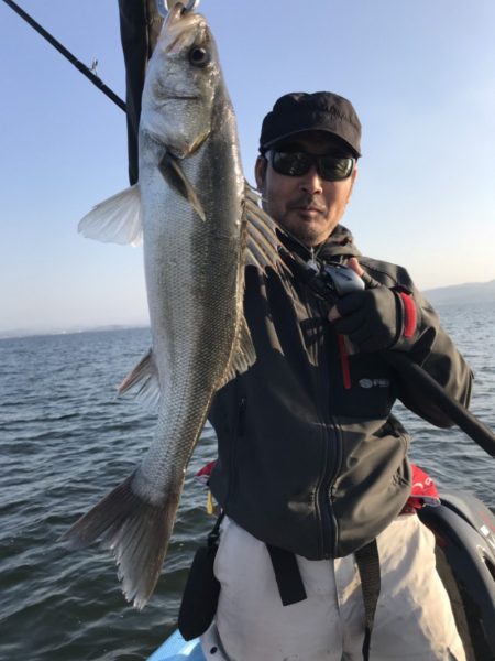 アマテラス 釣果