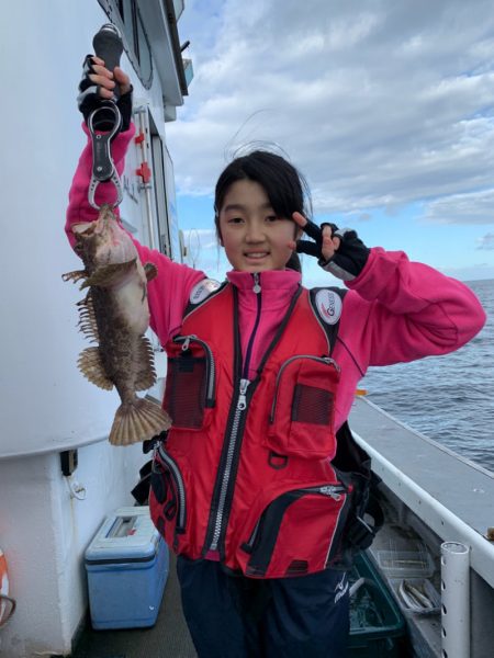 シーランチ 釣果