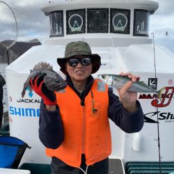 シーランチ 釣果