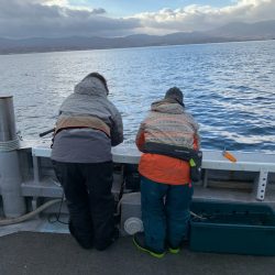 シーランチ 釣果