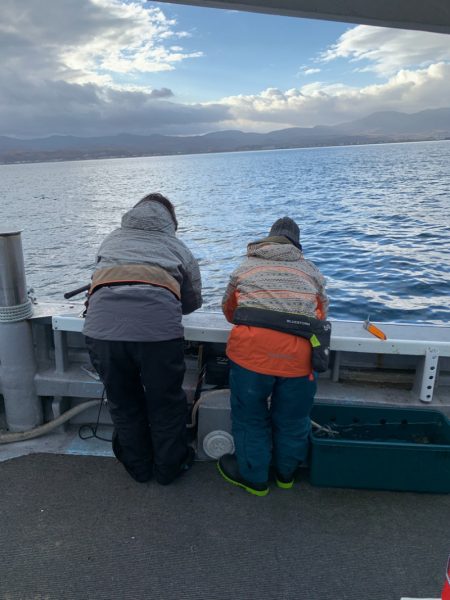 シーランチ 釣果