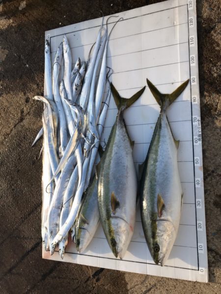 Monster Rush! 釣果