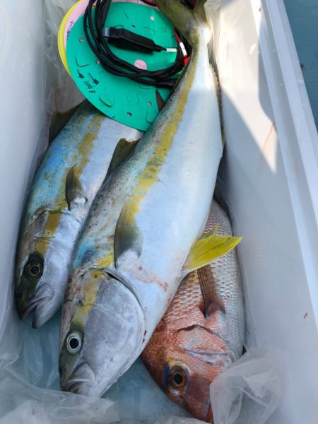 第二八坂丸 釣果