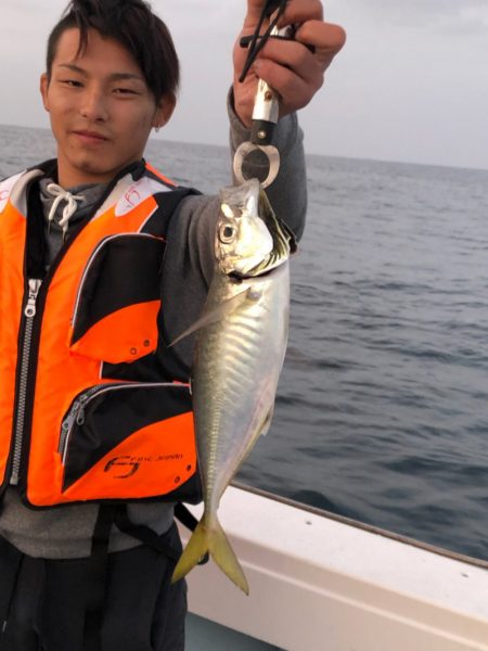 あみや渡船 JIGBOY 釣果