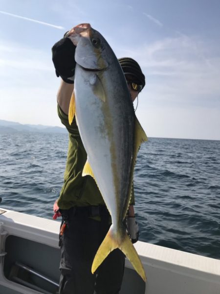 アマテラス 釣果