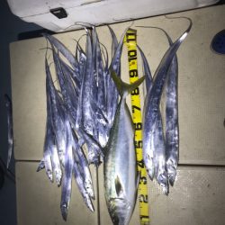 Monster Rush! 釣果