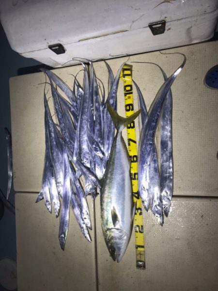 Monster Rush! 釣果