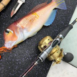 あみや渡船 JIGBOY 釣果