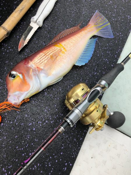 あみや渡船 JIGBOY 釣果