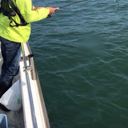 遊漁船メテオ 釣果