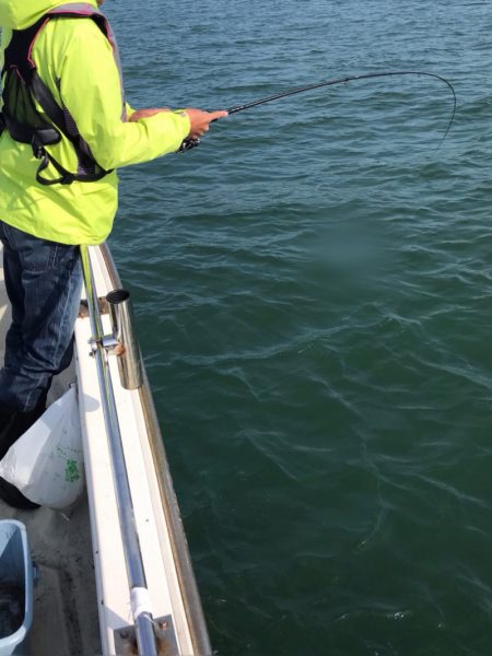 遊漁船メテオ 釣果